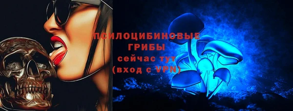 дмт Арсеньев