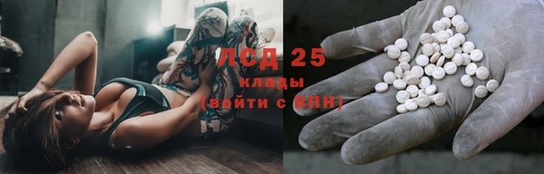 шишки Абинск