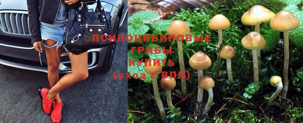 соль курить ск Аркадак