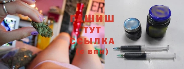 дмт Арсеньев