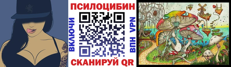 Псилоцибиновые грибы MAGIC MUSHROOMS  блэк спрут онион  Дзержинск 