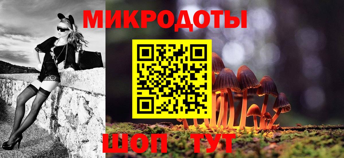 Псилоцибиновые грибы Psilocybine cubensis Дзержинск