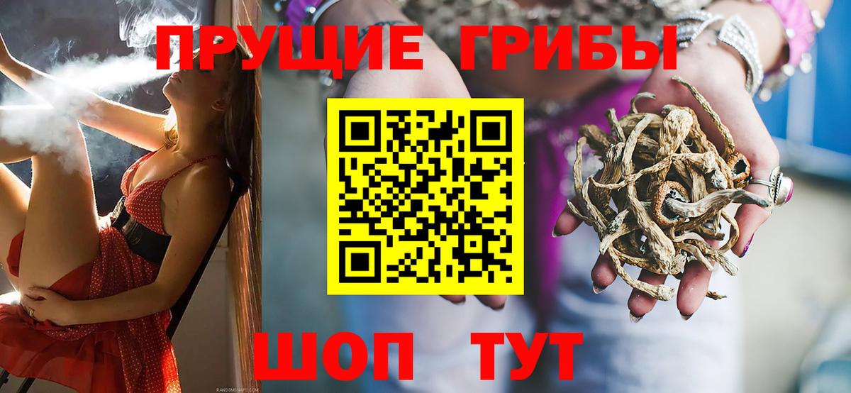 Псилоцибиновые грибы Psilocybe  Вход с VPN  Дзержинск 